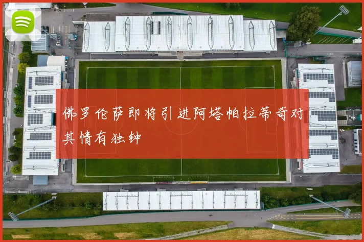 佛罗伦萨即将引进阿塔帕拉蒂奇对其情有独钟