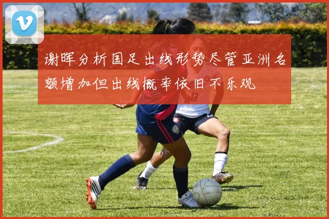 谢晖分析国足出线形势尽管亚洲名额增加但出线概率依旧不乐观