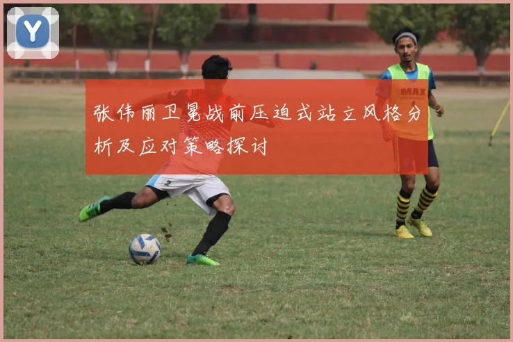 张伟丽卫冕战前压迫式站立风格分析及应对策略探讨